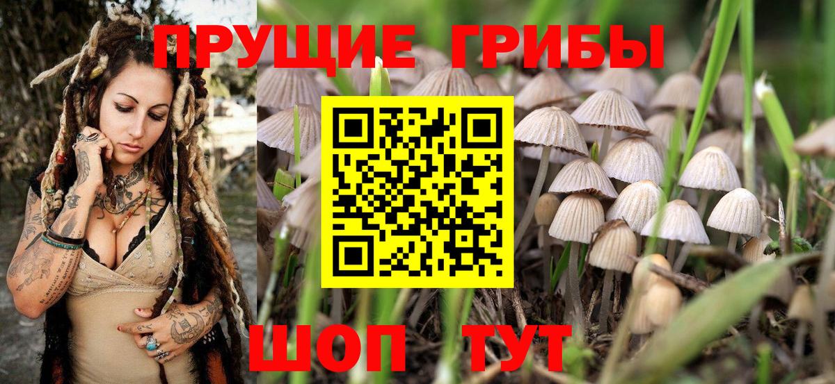Галлюциногенные грибы мицелий Кумертау