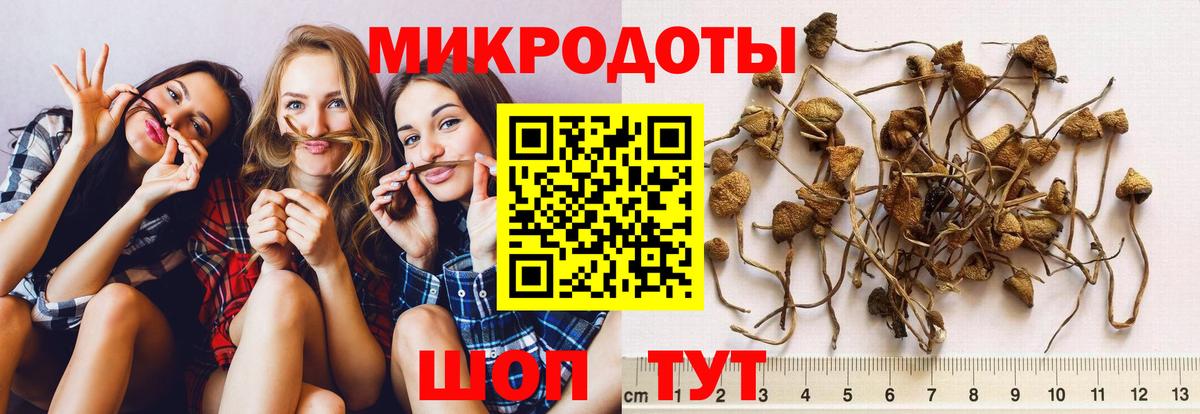 Галлюциногенные грибы мицелий  Вход с VPN  Кумертау  наркотики  Галлюциногенные грибы Psilocybine cubensis 